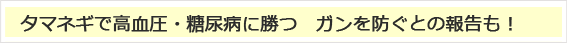 タマネギで高血圧・糖尿病に勝つ　ガンを防ぐとの報告も！