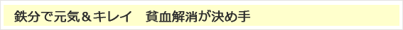 鉄分で元気＆キレイ　貧血解消が決め手