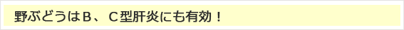 野ぶどうはＢ、Ｃ型肝炎にも有効！